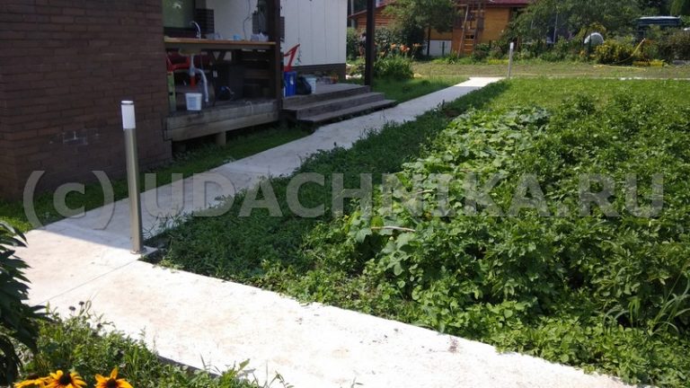 Садовая дорожка в садовом товариществе СНТ