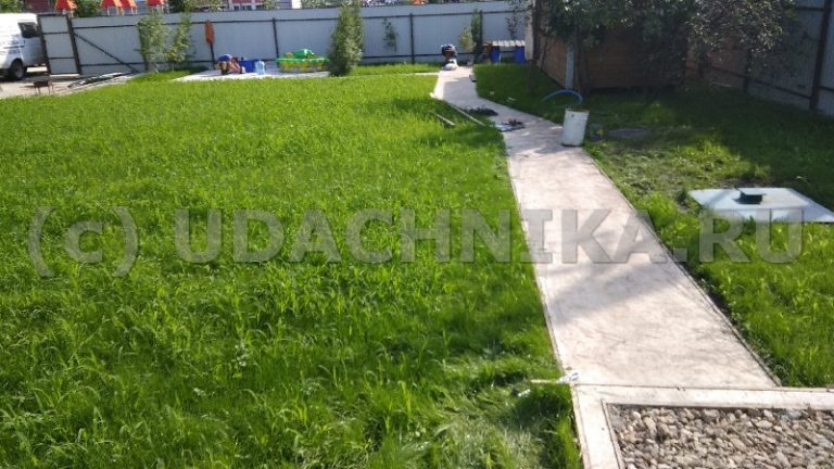 Бетонные дорожки Бутово Москва